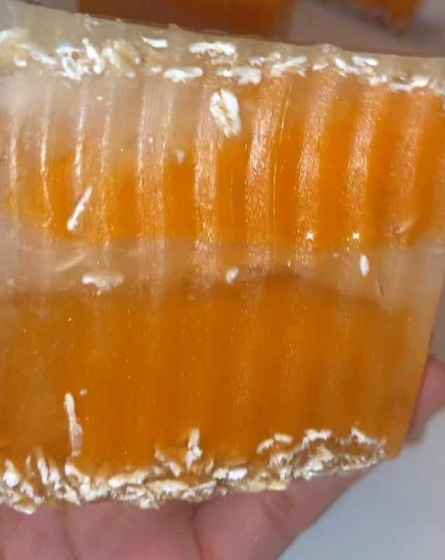 Papaya Honey Oats Bar